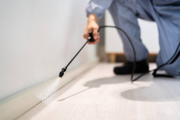 Professional exterminator conducting IPM assessment in Jonesboro